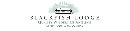 BlackFish Lodge Logo